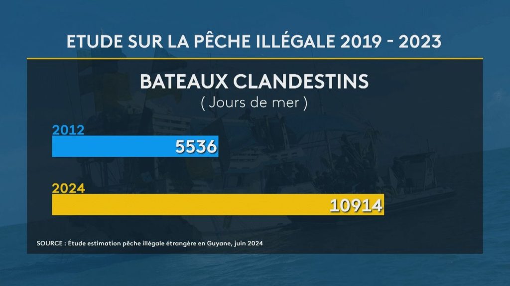 En Guyane, un rapport "accablant" sur la pêche illégale vient d’être rendu public
C’est l’étude la plus complète jamais menée sur la pêche clandestine en Guyane. À l’IFREMER et au comité des pêches, des chercheurs ont analysé cinq ans de données issues de la lutte contre la pêche illégale. Et la situation est inquiétante
