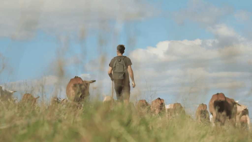 Agriculture : à cause du réchauffement climatique, le fromage "Picodon" se bat pour garder son AOP
L'appellation d'origine contrôlée est un label de qualité de plus en plus difficile à obtenir face aux changements climatiques. Exemple en Ardèche, où un éleveur a dû improviser pour trouver la bonne alimentation pour ses chèvres et continuer à bénéficier du label.