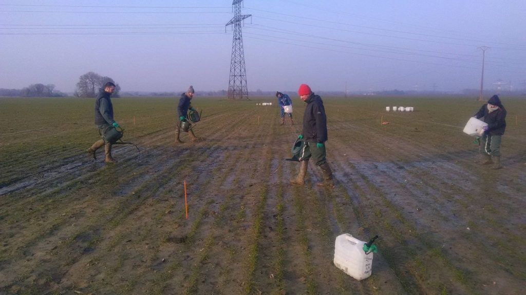 Reportage
"C'est très efficace pour les poireaux, les choux, les épinards" : le premier point de collecte d'urine a ouvert en France
Le précieux liquide est recyclé pour être utilisé par un agriculteur sur son exploitation.