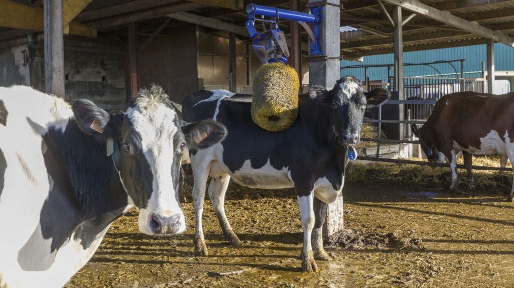 Pour les éleveurs français, la réduction de collecte de lait de Lactalis est vécue comme une "déflagration" assure le patron de la FNSEA
Lactalis prévoit de réduire de près de 10% ses achats de lait aux producteurs, dans un projet de réduction des exportations à l'étranger. Le gouvernement a promis de réagir.
