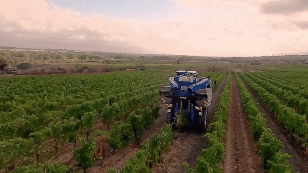Intempéries : des vignobles français en péril ?
Une baisse de 18% sur un an de la production de vin est attendue cette année. La météo en est la principale cause, illustration dans l’Aude.