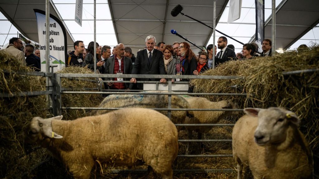 Prêts garantis, 75 millions d'euros d'aide... Les annonces en demi-teinte de Michel Barnier à destination des éleveurs en pleine crise agricole et sanitaire
Le Premier ministre, en déplacement au sommet de l'élevage à Cournon-d'Auvergne dans le Puy-de-Dôme, a notamment annoncé une enveloppe de 75 millions d'euros pour les éleveurs frappés par la fièvre catarrhale de sérotype 3.