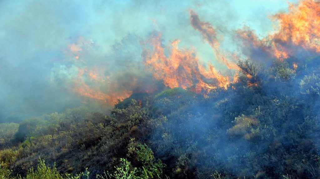Mort d'un pompier dans l'incendie de Gabian dans l'Hérault : cinq officiers seront jugés en correctionnelle pour "homicide involontaire"
Quatre pompiers ont été envoyés lutter contre un incendie dans un véhicule qui n'était plus aux normes à l'été 2016. Ils n'ont pas pu s'y réfugier. Trois d'entre eux ont été grièvement blessés, le quatrième a succombé. La hiérarchie avait pourtant été plusieurs fois avertie par écrit des dysfonctionnements du matériel.