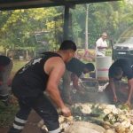 Wallis et Futuna : une gastronomie fondée sur le partage
Le feuilleton du 13 Heures se poursuit à Wallis et Futuna, jeudi 17 octobre, et part à la découverte de la cuisine du Pacifique et de ses trésors.