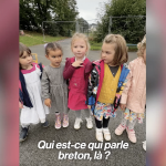 :
Vidéo
Dans cette école, les enfants parlent breton
Bienvenue dans une école pas comme les autres. Ici, à l'école Diwan de Carhaix-Plouguer, tous les élèves parlent breton. Comme pour les autres enfants, il y a des cours de français, d'anglais, d'espagnol… mais l'enseignement est dispensé en langue bretonne. Une façon de perpétuer les traditions et de s'ouvrir aux autres. On est allé s'entraîner avec les élèves de Diwan de Carhaix-Plouguer.