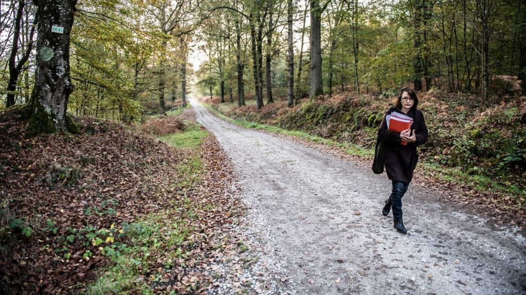 Mort du ministre Robert Boulin : l'enquête rebondit sur la piste d'un "truand haut placé", décédé en 1986
Selon Mediapart, un certain Henri Geliot a été identifié dans cette affaire, après le témoignage d'un homme entendu par la juge d'instruction en 2023. Le parquet a confirmé cette information, vendredi.