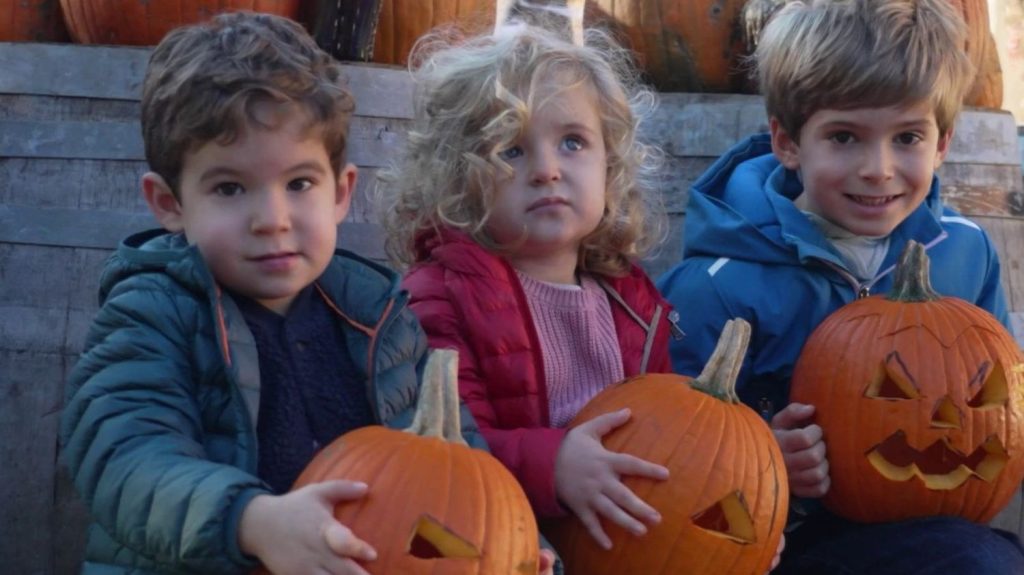 Halloween : à la recherche de la citrouille la plus effrayante
Depuis 25 ans, la Ferme de Gally, dans les Yvelines, célèbre la citrouille pour Halloween. De leur récolte à l’organisation d’atelier de découpage, les cucurbitacées sont à la fête.