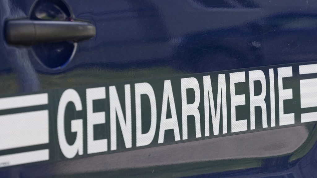 Finistère : un enfant et sa mère retrouvés morts, la thèse de l'infanticide privilégiée
Le corps de l'enfant a été retrouvé dans une voiture, celui de sa mère sur une plage.