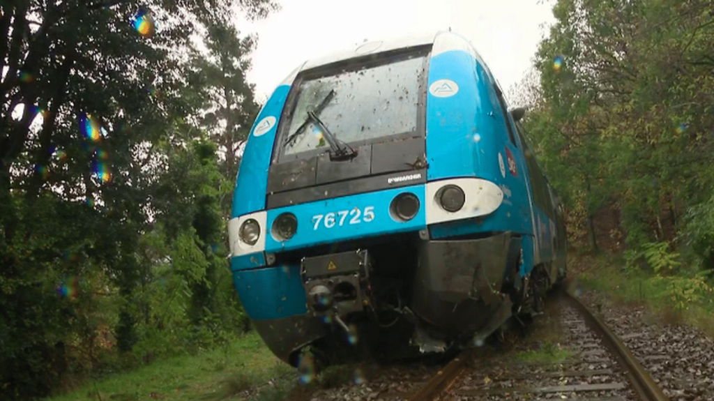 Intempéries : les dégâts des inondations dans le sud de la France
De nouvelles intempéries ont frappé le sud de la France, vendredi 25 octobre. Les fortes pluies ont provoqué le déraillement d'un train en Lozère, et près de 2 000 personnes ont été mises à l'abri dans le Var.