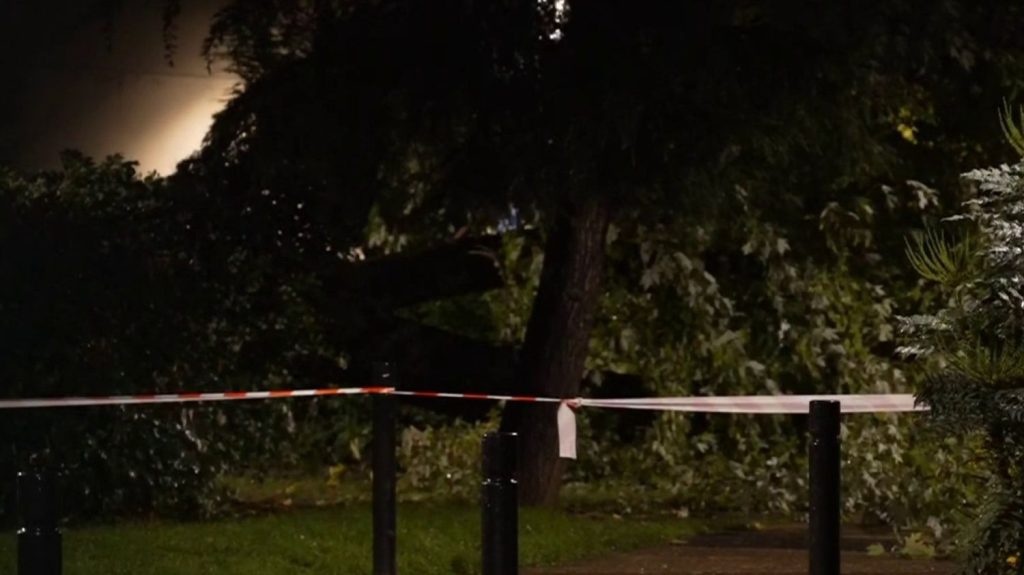 Intempéries : un homme meurt écrasé par un arbre à Paris
Dans le XIXe arrondissement de Paris, un homme a été tué par la chute d'un arbre, à la suite des intempéries.