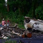 Martinique : la nuit a été marquée par de nouvelles tensions, signale la préfecture
Elles sont toutefois moins vives qu'avant l'instauration du couvre-feu nocturne, le 10 octobre, sur l'ensemble du territoire.
