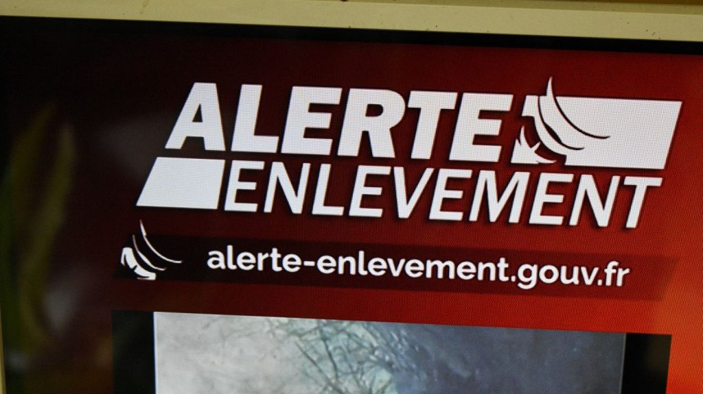 Enlèvement de Santiago : des parents peuvent-ils être accusés de kidnapper leur propre enfant ?
Si le délit d'enlèvement d'un enfant par son père et sa mère, ayant conjointement l'autorité parentale, n'existe pas en droit français, selon l'avocat Etienne Lesage, ces derniers peuvent être notamment poursuivis pour "soustraction ou privation de soins".