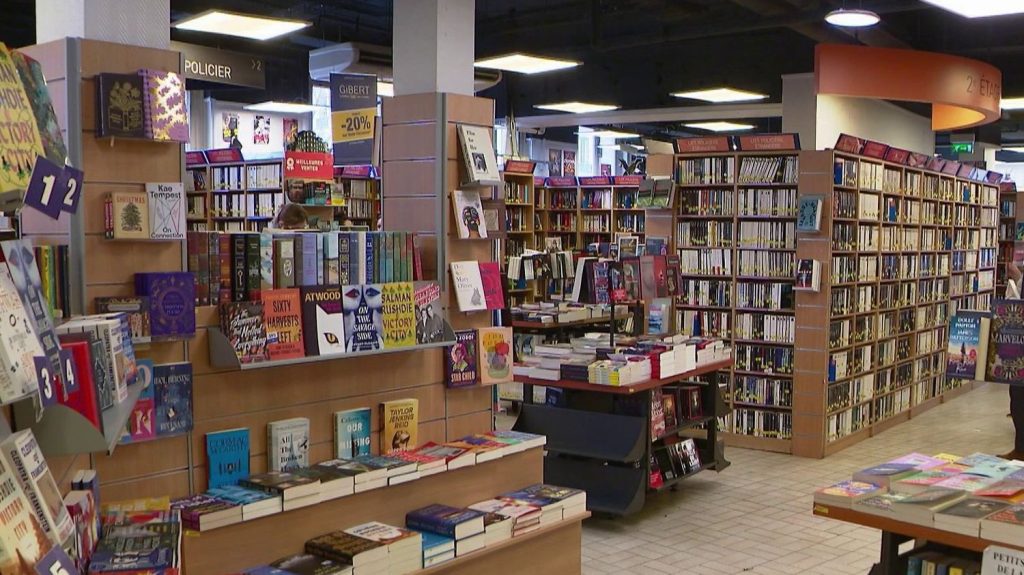 Littérature : les livres sont la nouvelle cible des pirates
Les livres sont aussi victimes de piratage. Sur Internet, des sites illégaux proposent des dizaines de milliers d'ouvrages, sortis récemment.