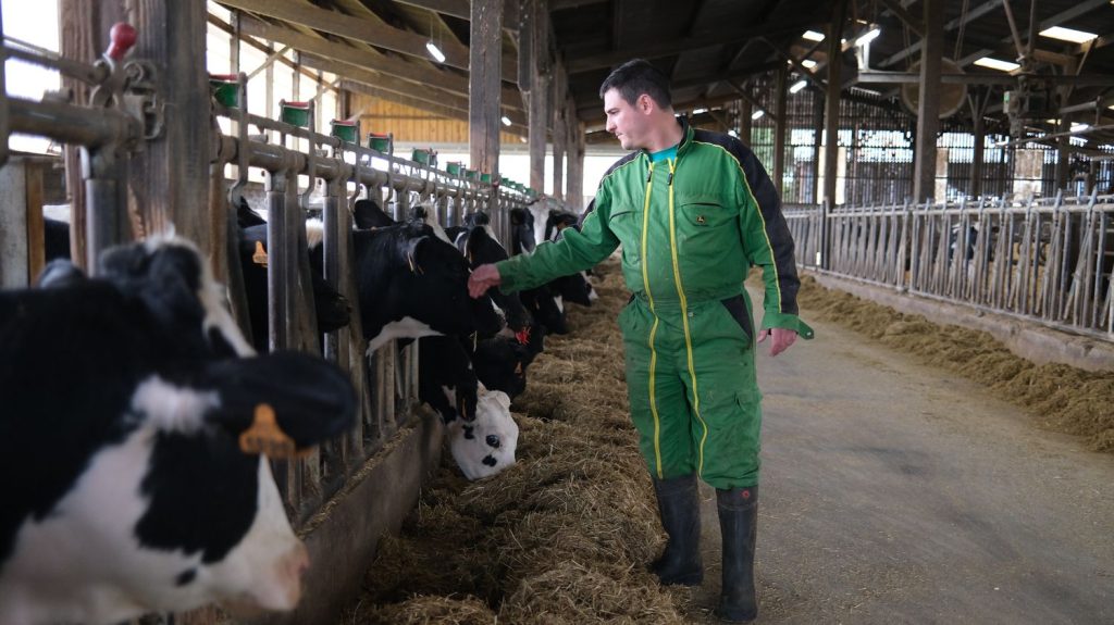 Reportage
"Lactalis nous a trahis" : un éleveur laitier dénonce la réduction des volumes de lait collecté par le géant français
Le numéro un mondial des produits laitiers a annoncé qu'il allait diminuer, à partir de fin 2024, les volumes de lait acheté dans les fermes françaises. "Un coup de massue" pour ce producteur des Deux-Sèvres, dont l'exploitation familiale livre du lait à Lactalis depuis plus de cinquante ans.
