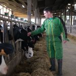 Reportage
"Lactalis nous a trahis" : un éleveur laitier dénonce la réduction des volumes de lait collecté par le géant français
Le numéro un mondial des produits laitiers a annoncé qu'il allait diminuer, à partir de fin 2024, les volumes de lait acheté dans les fermes françaises. "Un coup de massue" pour ce producteur des Deux-Sèvres, dont l'exploitation familiale livre du lait à Lactalis depuis plus de cinquante ans.