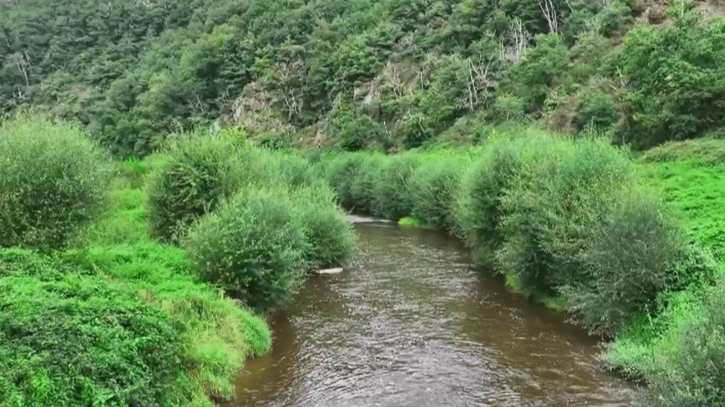 :
Vidéo
Au Mont-Saint-Michel, les saumons migrateurs font leur retour dans un fleuve après la destruction de barrages
Deux ouvrages vieillissants ont été démantelés pour favoriser la biodiversité et la réapparition d'espèces qui avaient déserté la Sélune. Un choix fait aux dépens de la base de loisirs locale.