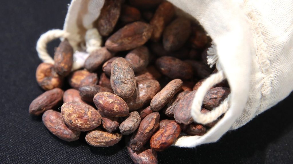 Le chocolat dans tous ses états
Le Salon du chocolat ouvrira mercredi prochain, à Paris, pour 5 jours. L’occasion de parler de ce produit dont les Français raffolent.