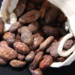 Le chocolat dans tous ses états
Le Salon du chocolat ouvrira mercredi prochain, à Paris, pour 5 jours. L’occasion de parler de ce produit dont les Français raffolent.