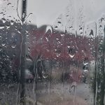 Podcast
Tempête Kirk, nouveau rapport de la WWF et "l'hymne à l'amour" version JO : ça dit quoi ce 10 octobre ?
Ce jeudi 10 octobre, la tempête Kirk poursuit son chemin en France, la population d'animaux sauvage diminue selon un rapport de la WWF et la version de l'"Hymne à l'amour" chantée par Céline Dion lors de la cérémonie d'ouverture des Jeux olympiques de Paris 2024 est disponible sur les plateformes.