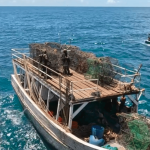 Guyane : l’amplification des trafics en haute mer
Direction la Guyane, où la Marine nationale lutte contre les pêcheurs clandestins. Malgré les efforts déployés, ces derniers pillent les ressources et déciment des espèces entières.