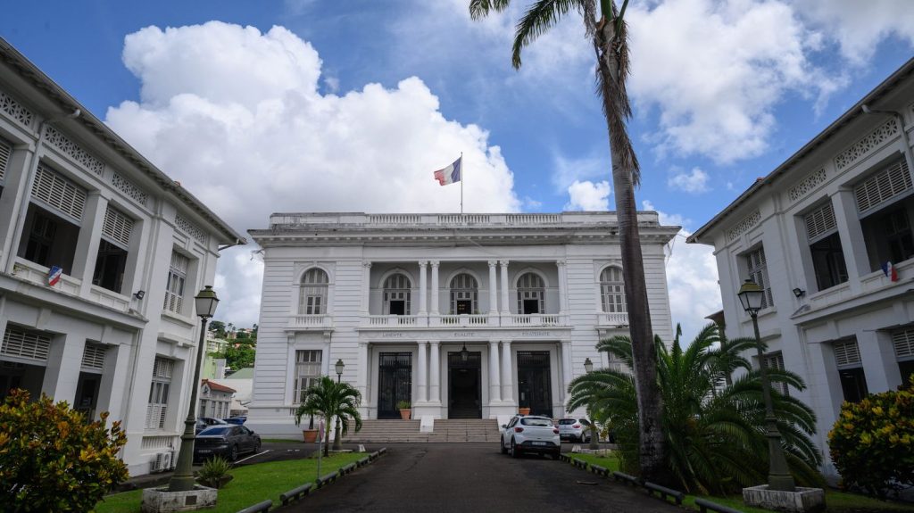 Martinique : "Huit personnes interpellées" après l'envahissement de la piste de l'aéroport de Fort-de-France
Depuis septembre, l'île antillaise est marquée par un mouvement contre la vie chère, qui a dégénéré en violences urbaines. La préfecture dément l'arrivée de CRS sur l'île et lance un appel au calme. Elle espère une sortie de crise avec les discussions "fructueuses" en cours.