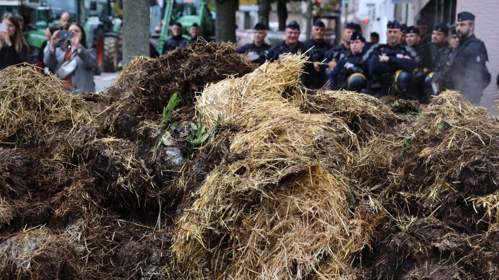 Des agriculteurs déversent du fumier devant le centre d'impôts de Tarascon dans les Bouches-du-Rhône
La veille, des agriculteurs de la Coordination rurale avaient temporairement bloqué une plateforme Lidl au niveau de la zone industrielle de Rousset, dans le même département.