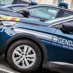 Un trafic d'oiseaux d'espèces protégées démantelé dans la Sarthe
Neuf personnes ont été interpellées dans plusieurs départements de l'Ouest de la France.