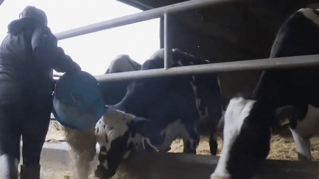 Des dispositifs pour faire face au stress dans le monde agricole
En réponse au stress croissant et au risque de burn-out dans le secteur, la MSA a mis en place des dispositifs de soutien, comme le réseau sentinelle et le service d'écoute 3114, pour aider les agriculteurs en difficulté.