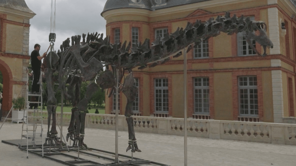 Enchères : un dinosaure géant en vente dans les Yvelines
Vulcain est un apatosaure de plus de 20 mètres de long et de 4 mètres de haut. L'herbivore, découvert dans le Wyoming, aux États-Unis, sera présenté aux enchères samedi 16 novembre, au château de Dampierre-en-Yvelines.