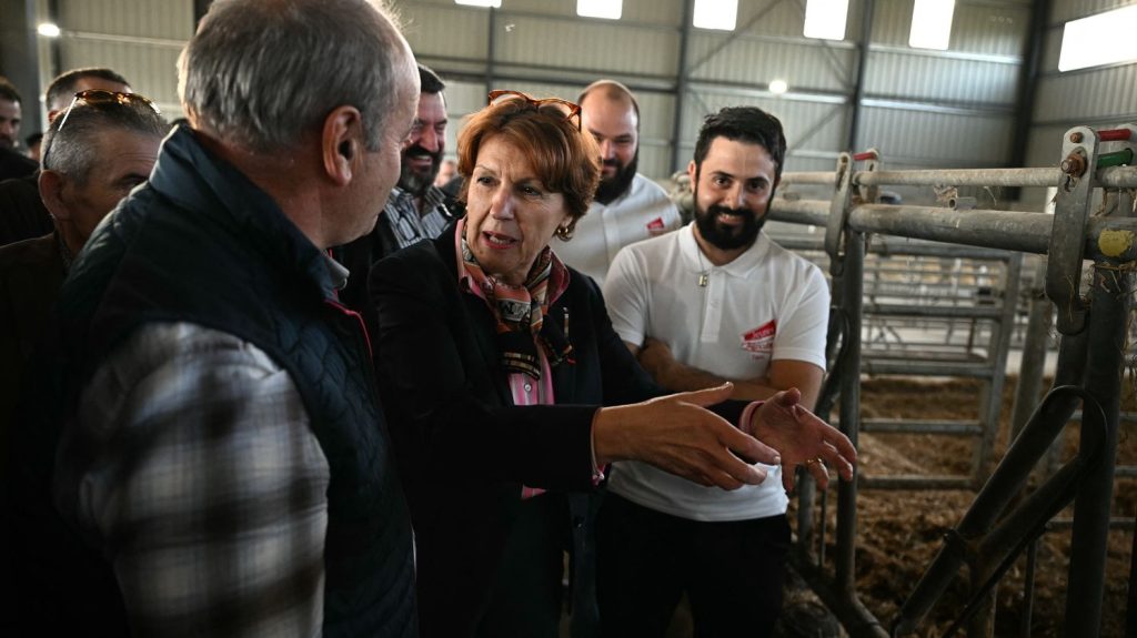 Fièvre catarrhale ovine : la France commande 2 millions de doses de vaccin supplémentaires pour juguler l'épidémie
La ministre de l'Agriculture, Annie Genevard, veut "assurer une couverture vaccinale optimisée", avec près de 14 millions de doses commandées au total.
