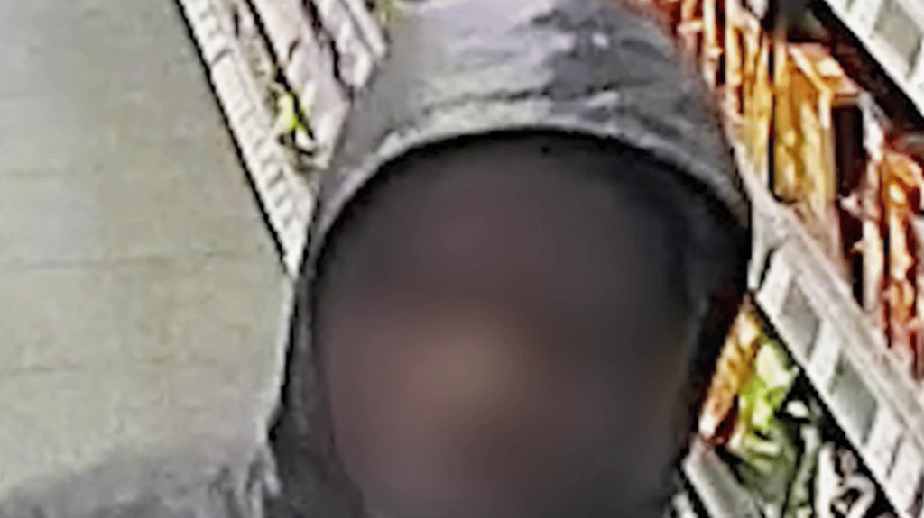 SDF tué à Lyon à coups de Parpaing : le suspect serait impliqué dans d'autres agressions
Arrêté dans la soirée du mardi 12 novembre à Toulon (Var), un homme est soupçonné d'avoir tué un sans-abri à coups de parpaing à Lyon (Rhône) le dimanche précédent. Surnommé "l'agresseur au parpaing", le suspect, placé sous OQTF, serait impliqué dans d'autres agressions du même type.