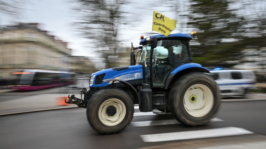 Des agriculteurs de la Coordination rurale se mobilisent devant une plateforme Lidl dans les Bouches-du-Rhône
Une trentaine d'agriculteurs manifeste jeudi devant une plateforme Lidl au Rousset dans les Bouches-du-Rhône, pour réclamer une meilleure rémunération.
