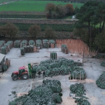 Noël : le sapin du Morbihan se taille une place sur le marché
En 2023, 6 millions de sapins naturels ont été achetés en France. Reportage dans le Morbihan, où la récolte a déjà débuté.