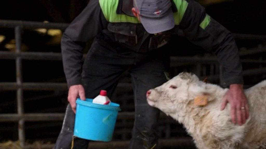 Colère des agriculteurs : les mesures de l'exécutif jugées insuffisantes
La colère gronde à nouveau chez les éleveurs français, qui peinent encore à s'en sortir malgré les mesures prises en début d'année par le gouvernement pour améliorer leur situation. Reportage dans le Loir-et-Cher.
