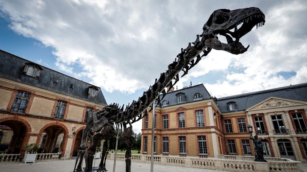 Pour acquérir le plus grand dinosaure jamais mis aux enchères, "il faut un mécène", regrette l'ex-président du Muséum d'histoire naturelle
Surnommé Vulcain, ce spécimen d’apatosaure va être vendu samedi en France, au château de Dampierre-en-Yvelines, dans la cour duquel il trône depuis le début de l’été. Un marché dans lequel les dinosaures s'adjugent parfois pour plusieurs dizaines de millions d'euros.