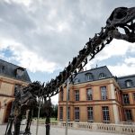 Pour acquérir le plus grand dinosaure jamais mis aux enchères, "il faut un mécène", regrette l'ex-président du Muséum d'histoire naturelle
Surnommé Vulcain, ce spécimen d’apatosaure va être vendu samedi en France, au château de Dampierre-en-Yvelines, dans la cour duquel il trône depuis le début de l’été. Un marché dans lequel les dinosaures s'adjugent parfois pour plusieurs dizaines de millions d'euros.