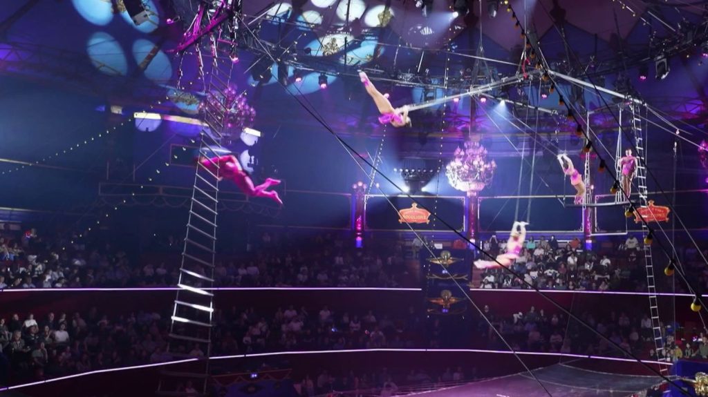 Cirque d’hiver : la vertigineuse histoire des trapézistes volants
La famille Bouglione a repris du service et pour son 90ème anniversaire, elle place le trapèze volant au cœur du spectacle. Au cirque d’hiver à Paris, une représentation vertigineuse de trapézistes téméraires a lieu en ce moment.
