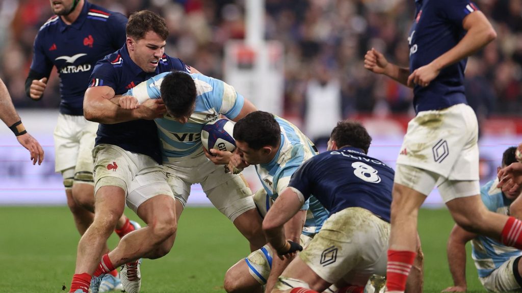 France-Argentine : revivez la victoire du XV de France dans son dernier match de la tournée d'automne
Les Bleus ont été à la hauteur de la grinta des Pumas, vendredi, pour conclure leur année 2024.