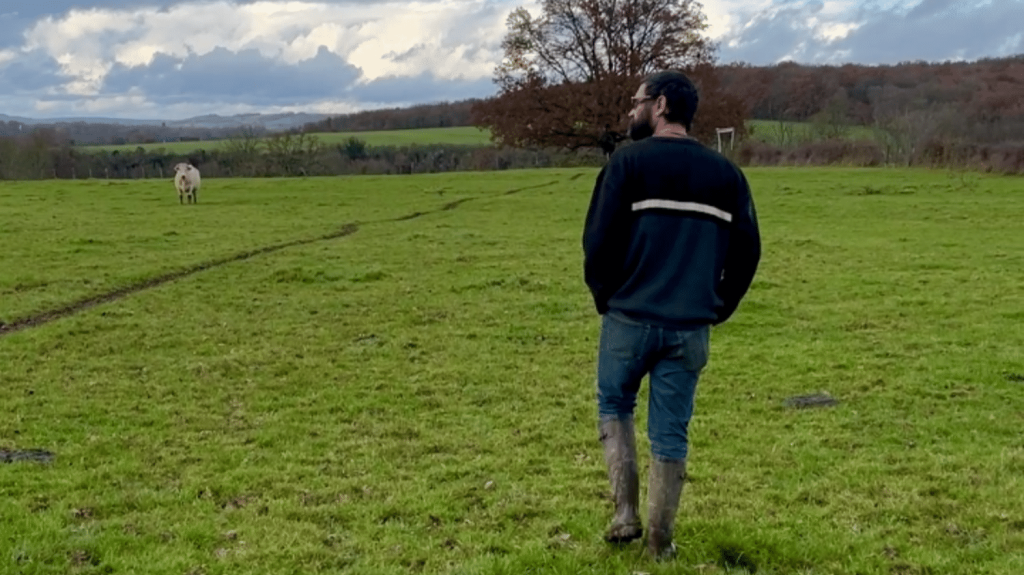 :
Témoignage
Colère des agriculteurs : "Ce ne sont pas les normes qui tuent les paysans, c'est le manque de revenu", selon un éleveur membre de la Confédération paysanne
Alors que la colère agricole se fait à nouveau entendre, trois syndicats occupent le devant de la scène mais un quatrième, la Confédération paysanne, porte une voix alternative défendant le revenu des agriculteurs et les petites exploitations.