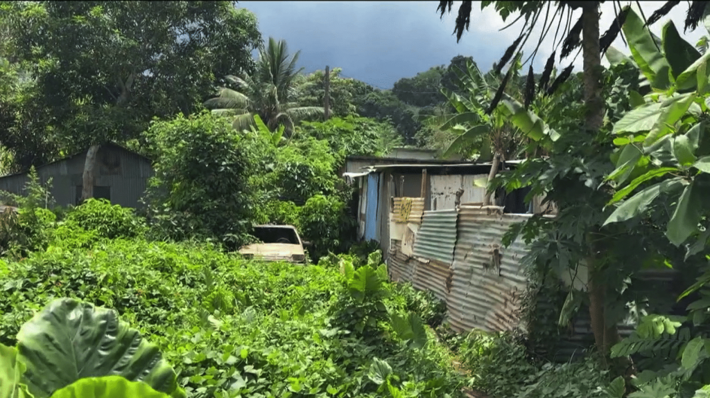 Cyclone Chido : l’alerte rouge à Mayotte
Le cyclone Chido devrait toucher Mayotte samedi 14 décembre. Alors que l’archipel vient de passer en alerte rouge, les habitants se préparent à faire face à des rafales de vent pouvant aller jusqu’à 280 km/h.
