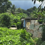 Cyclone Chido : l’alerte rouge à Mayotte
Le cyclone Chido devrait toucher Mayotte samedi 14 décembre. Alors que l’archipel vient de passer en alerte rouge, les habitants se préparent à faire face à des rafales de vent pouvant aller jusqu’à 280 km/h.