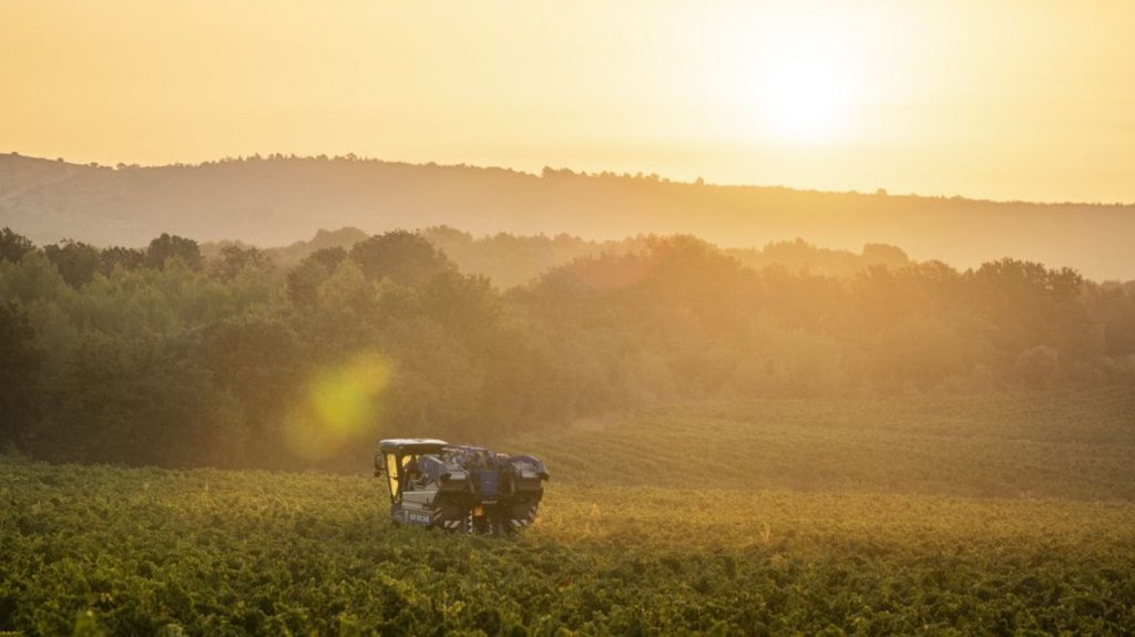 L'agriculture française a généré moins de 90 milliards d'euros en 2024, en baisse de 7,5% sur un an, selon l'Insee
Dans son rapport publié jeudi, l'Insee pointe du doigt une baisse exceptionnelle des revenus et de la production. La faute notamment à la mauvaise météo.