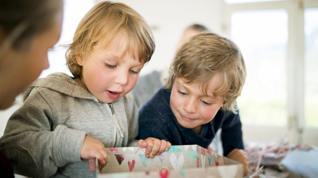 Noël : quels sont les critères d'un cadeau réussi pour les enfants ?
Noël approche et avec lui, la quête du cadeau idéal pour les enfants.