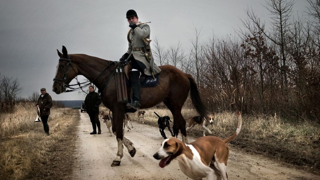 Chasse à courre : enquête interne ouverte après l'abattage suspect d'un cerf dans l'Orne
Un arrêté ministériel interdit d'abattre un animal à proximité d'habitations. Si l'équipage a transgressé les règles, il sera sanctionné.