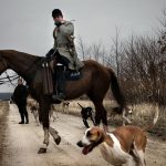 Chasse à courre : enquête interne ouverte après l'abattage suspect d'un cerf dans l'Orne
Un arrêté ministériel interdit d'abattre un animal à proximité d'habitations. Si l'équipage a transgressé les règles, il sera sanctionné.