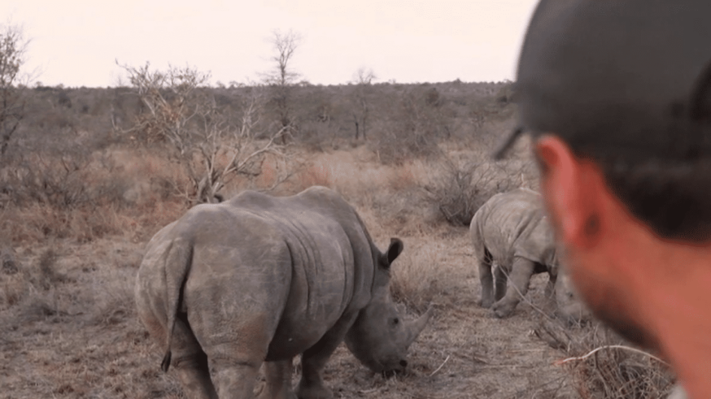 Afrique du Sud : rencontre avec Thibaud Cheminand, guide dans la réserve du Kruger
Direction le parc Kruger, en Afrique du Sud, où se trouvent les animaux les plus majestueux. Une équipe de France Télévisions a rencontré un guide français, qui a tout quitté pour les grands espaces.