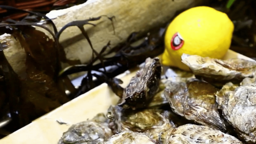 Ostréiculteurs : les huîtres du bassin d'Arcachon à nouveau à la fête
Noël dernier avait été catastrophique pour les ostréiculteurs du bassin d'Arcachon (Gironde). La vente d'huîtres avait été interdite en raison d'un virus transmissible à l'homme. Si les ostréiculteurs se serrent la ceinture en cette fin d'année, la saison est bonne, et ils se sont adaptés pour éviter de revivre cette situation.