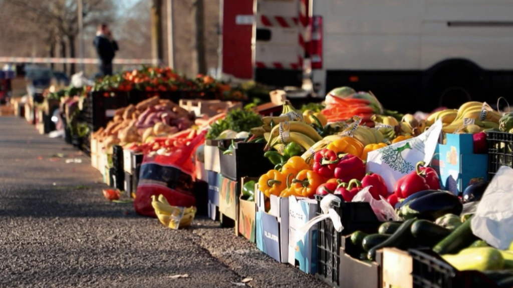 Montpellier : sur les marchés, les commerçants dénoncent la concurrence des étals illégaux
Les vendeurs illégaux, qui proposent des fruits et légumes hors de tout cadre juridique et sanitaire, à des prix cassés, sont de plus en plus nombreux. Ils se greffent aux stands autorisés, ce qui provoque des tensions, comme à Montpellier.
