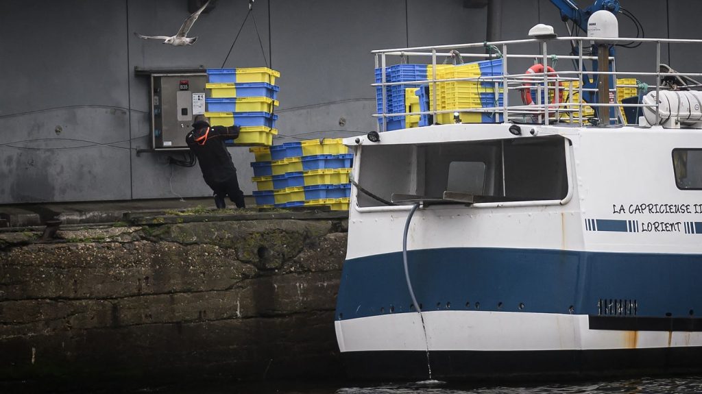 Interdiction de la pêche dans le golfe de Gascogne : l'Union française des pêcheurs-artisans ne "comprend pas" la décision du Conseil d'État
Le Conseil d'État a à nouveau confirmé lundi "la nécessité d'une fermeture de la pêche" notamment pour protéger les dauphins.
