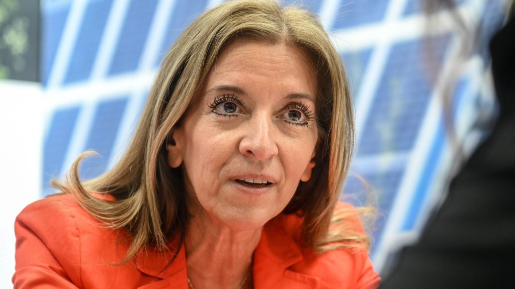 Énergies renouvelables : "Il va falloir simplifier" les procédures "pour accélérer" la décarbonation, estime la directrice France de TotalEnergies
Investir en France est "un enfer" a déclaré la semaine dernière le PDG de Total Patrick Pouyanné. Des propos que reprend et explique Isabelle Patrier.